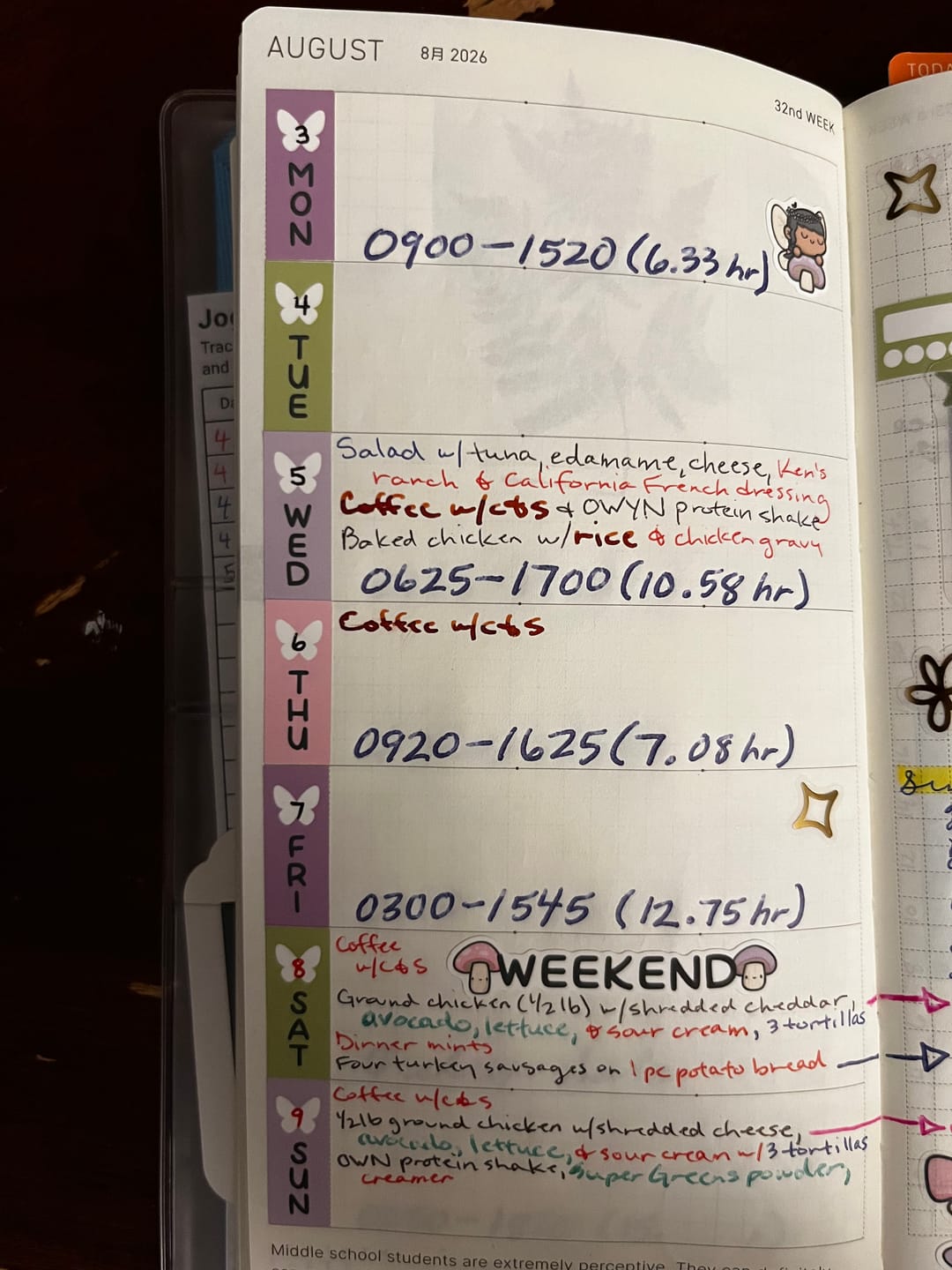 Customer photo review of Fairy Garden Hobonichi Weeks Kit