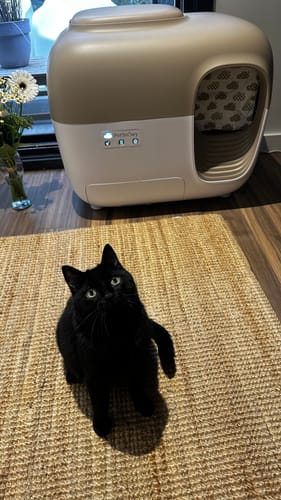 Customer photo review of Self-Cleaning Litter Box