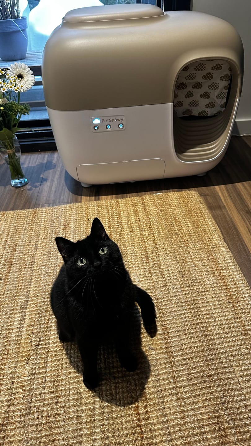 Customer photo review of Self-Cleaning Litter Box