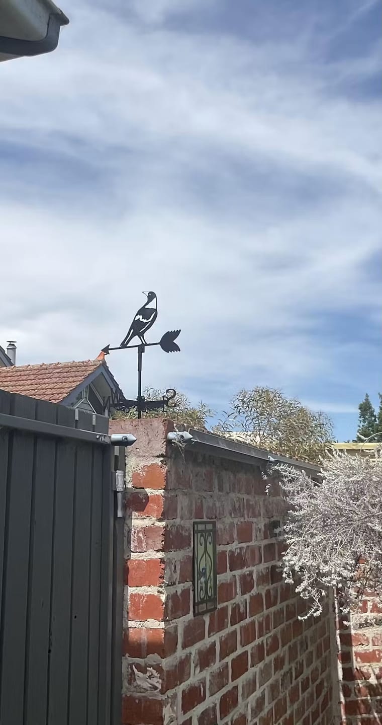 Customer photo review of Weather Vane - Magpie Bird