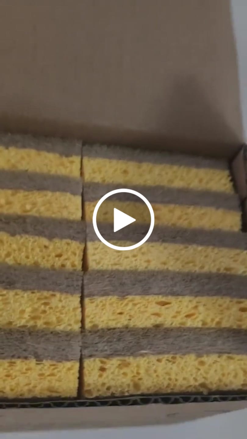 Customer video review of Plant Derived Sponges
