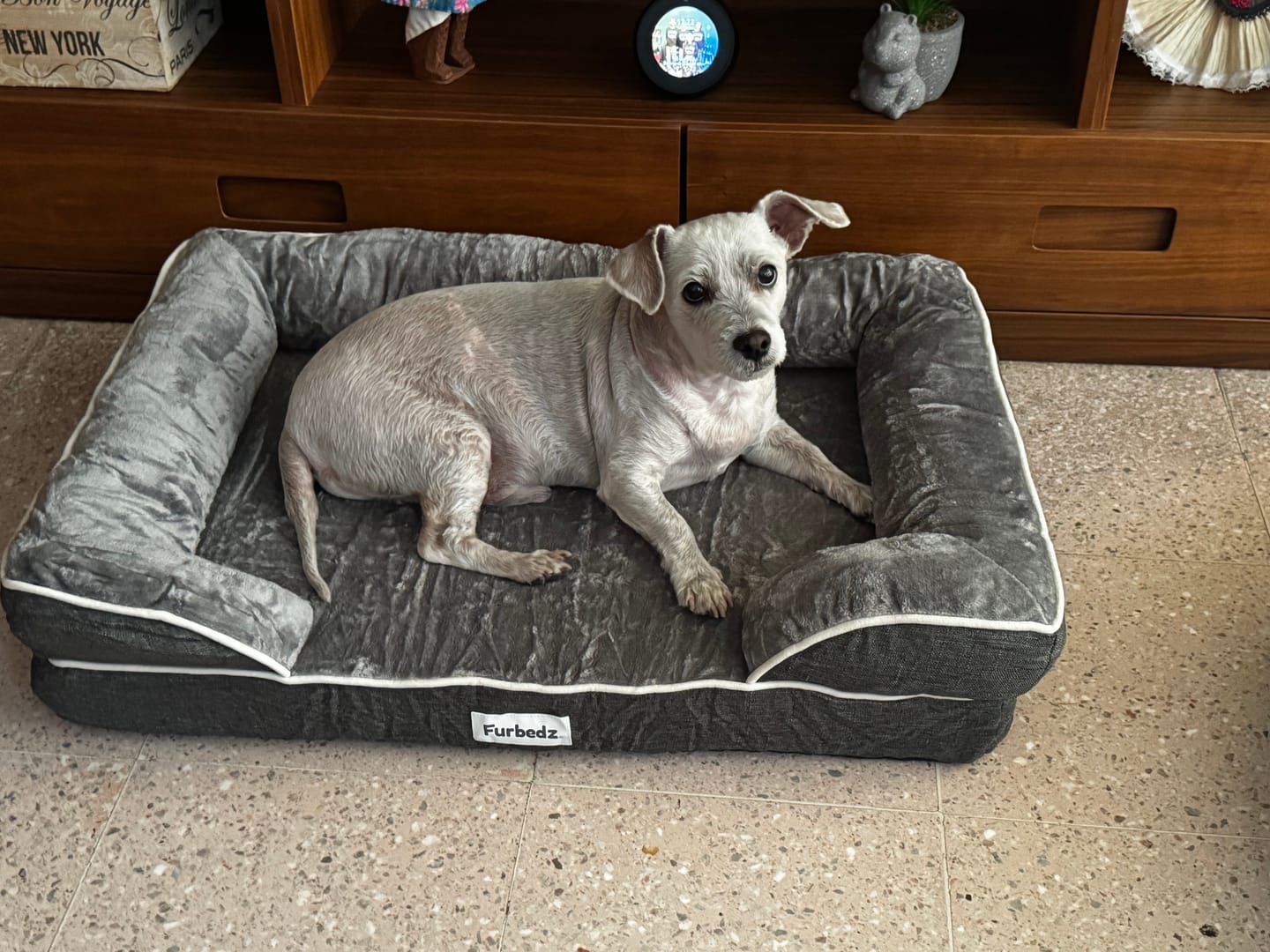 Customer photo review of Cama Ortopédica para Perros
