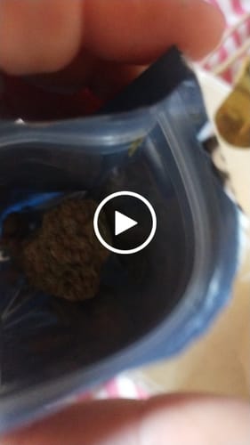 Customer video review of THC-A Flower Montgomery Benz