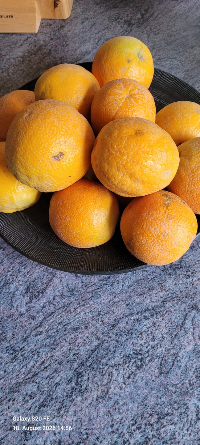 Customer photo review of Orangen Lane Late Bio von Apostolis Kreta 4kg Box