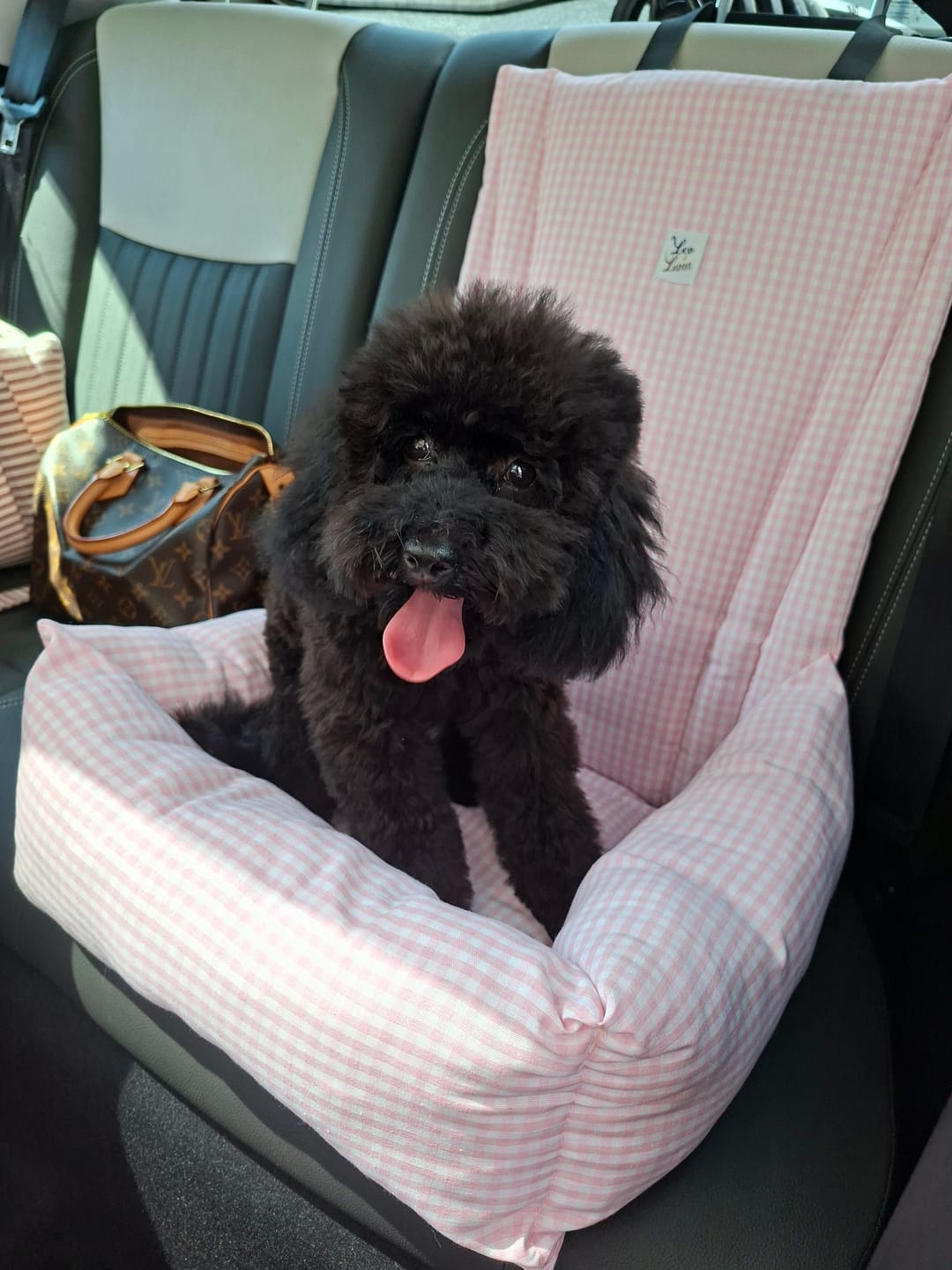 Customer photo review of Seggiolino Auto Cotone Vichy Rosa