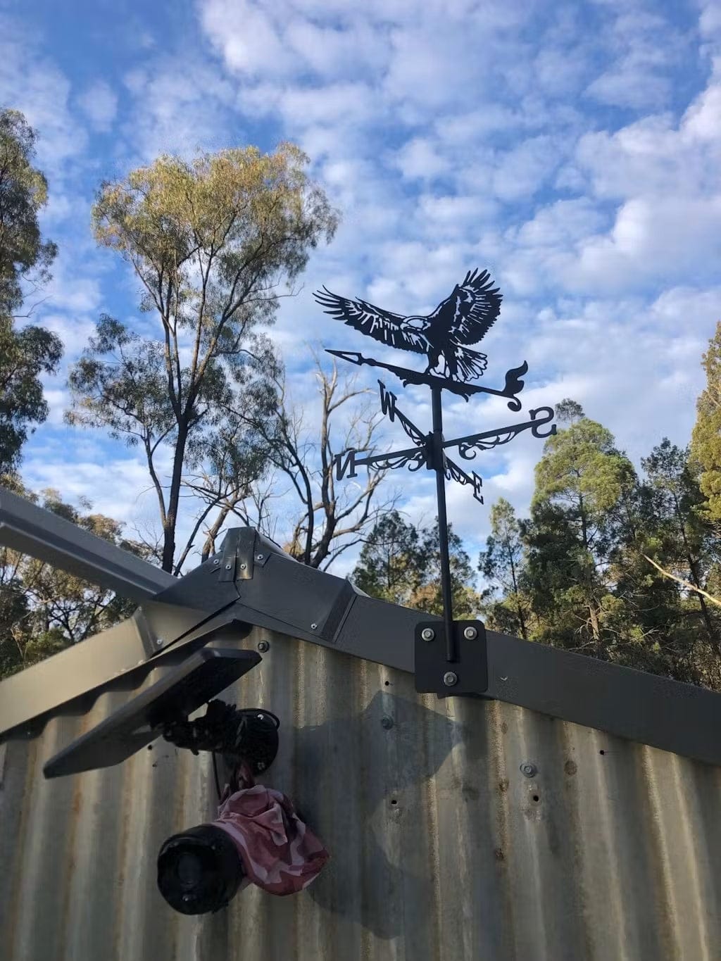 Customer photo review of Weather Vane - Flying Eagle