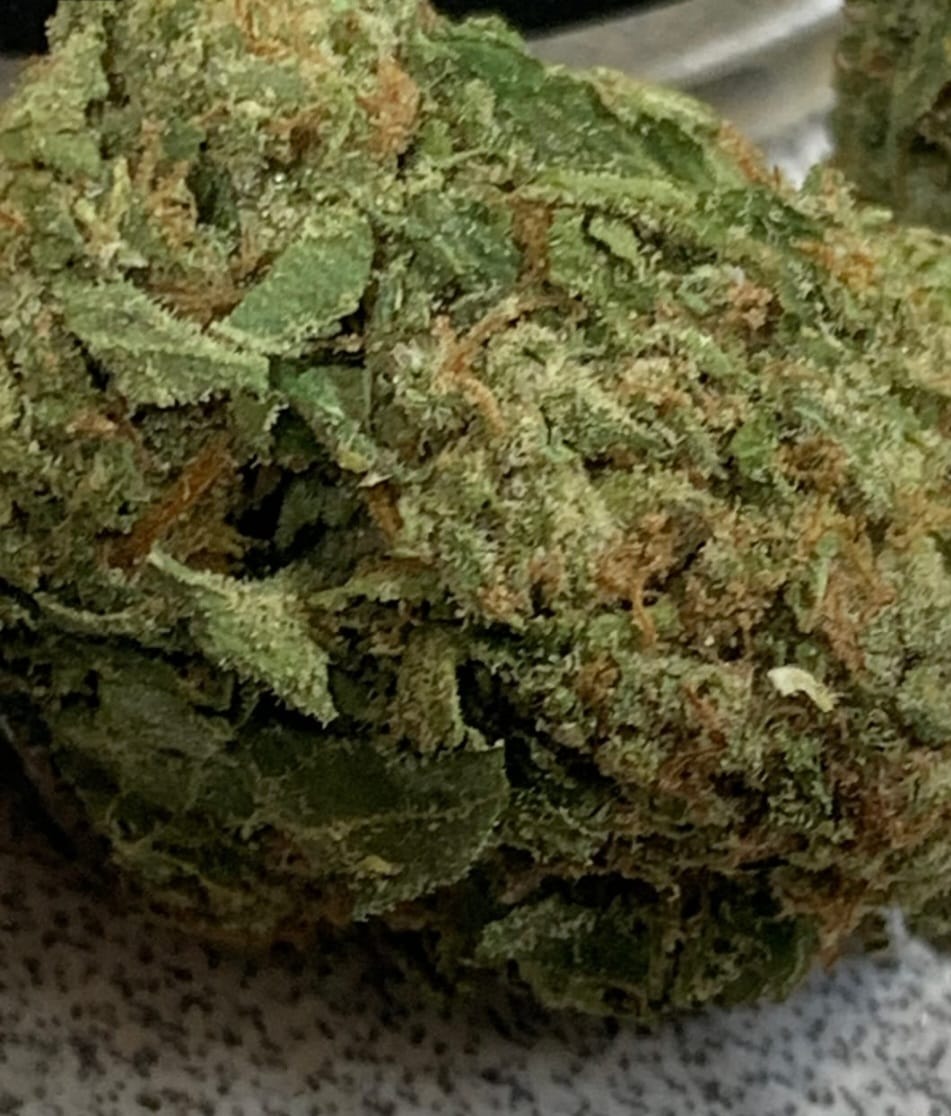 Customer photo review of Toad Venom - 14 Grams - Indica