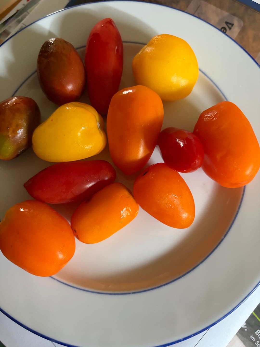 Customer photo review of Cocktailtomaten Mix regional vom Biohof Laurer aus Landau