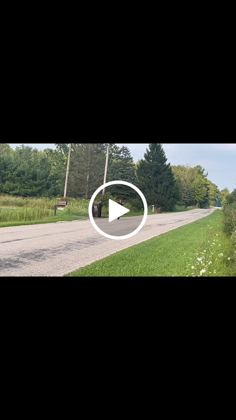 Customer video review of Tasaca® T500 Electric Mini Dirt Bike For Teens & Adults
