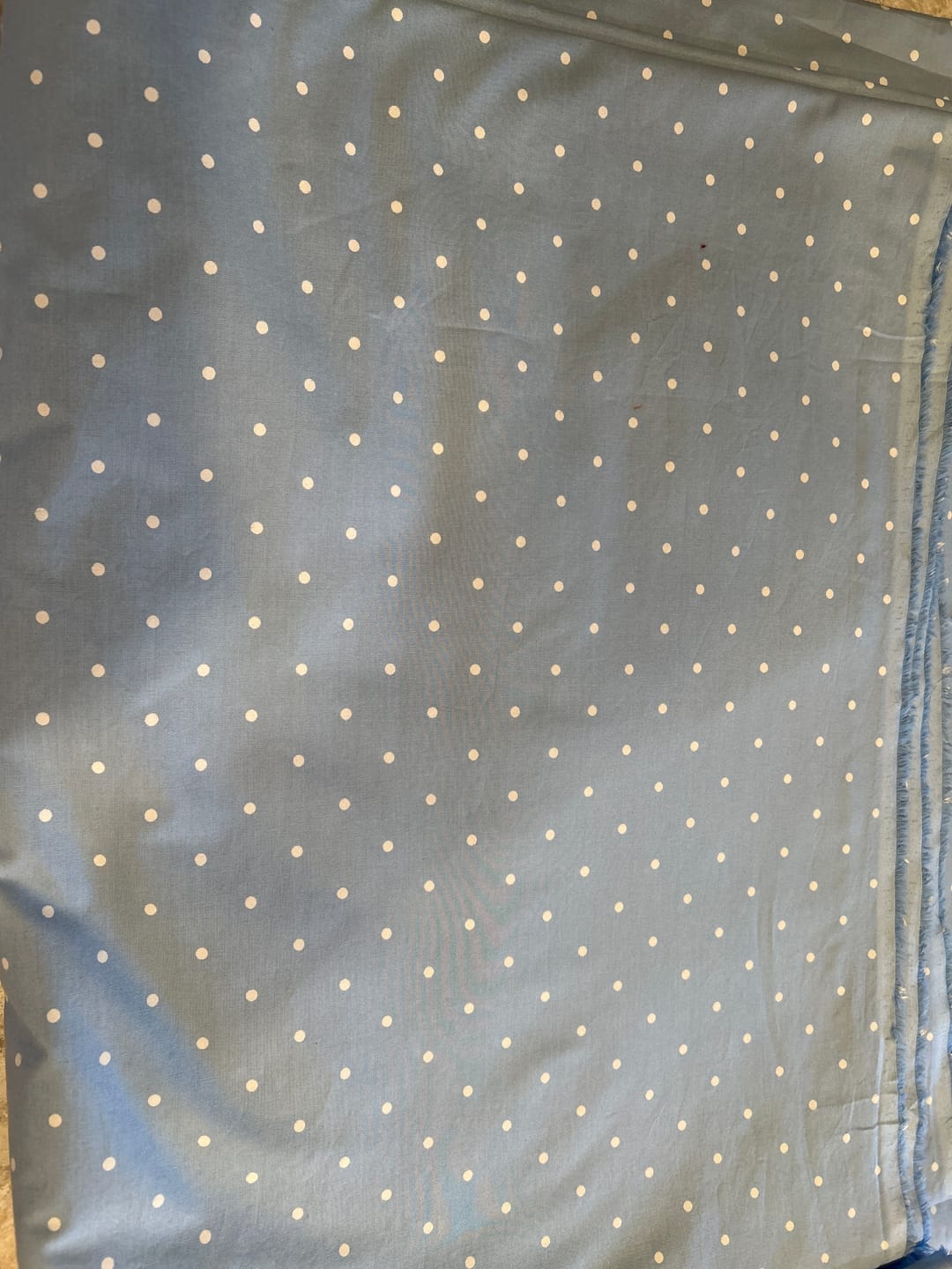 Customer photo review of $50 Whole 8 Yard Cut - Shirting Light Blue With White Dots - 57 inches - 100% cotton
