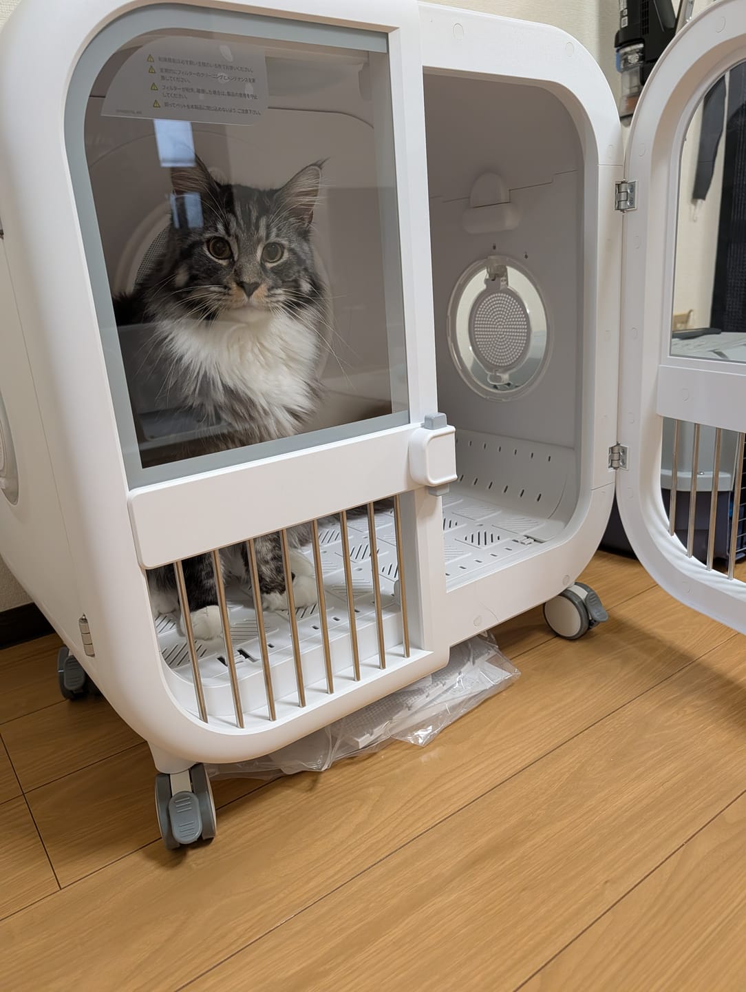Customer photo review of homerunPET 「Drybo Ultra」ペットドライヤーハウス
