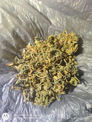 Sweet ZZ - 28 Grams - Indica photo review