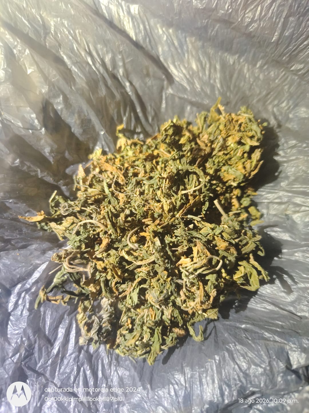 Customer photo review of Sweet ZZ - 28 Grams - Indica