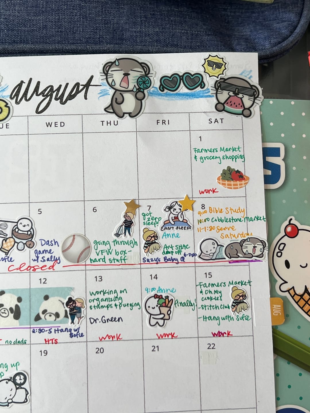 Customer photo review of It's Too Hot Planner Stickers