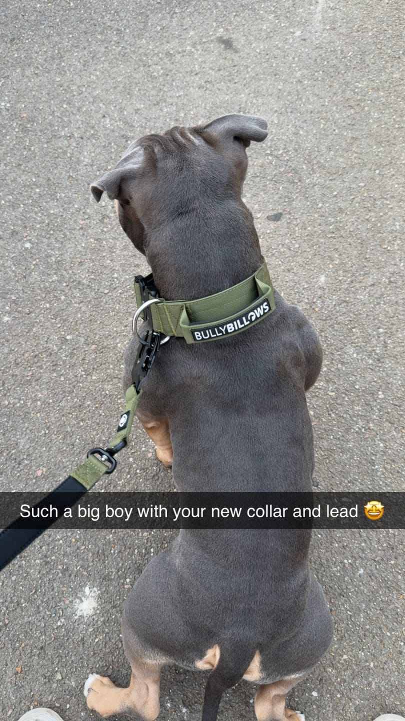 Customer photo review of 1.4m Swivel Combat Lead | Anti-Tangle & Secure Clip - Khaki