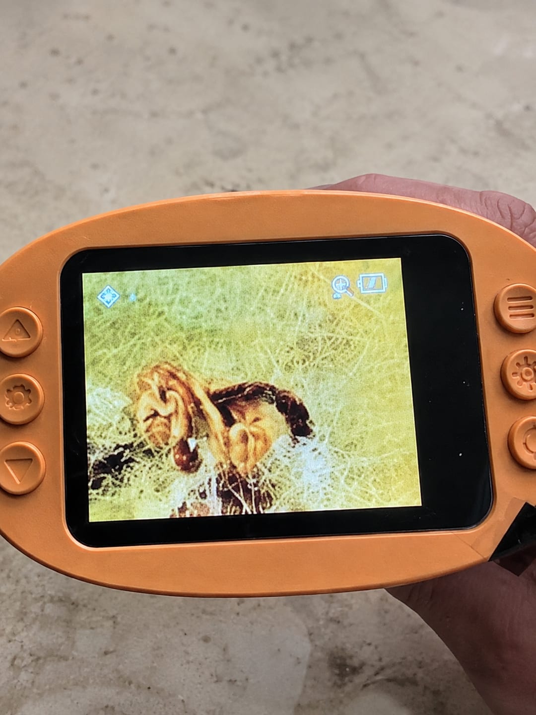 Customer photo review of The Miniscope UltraView
