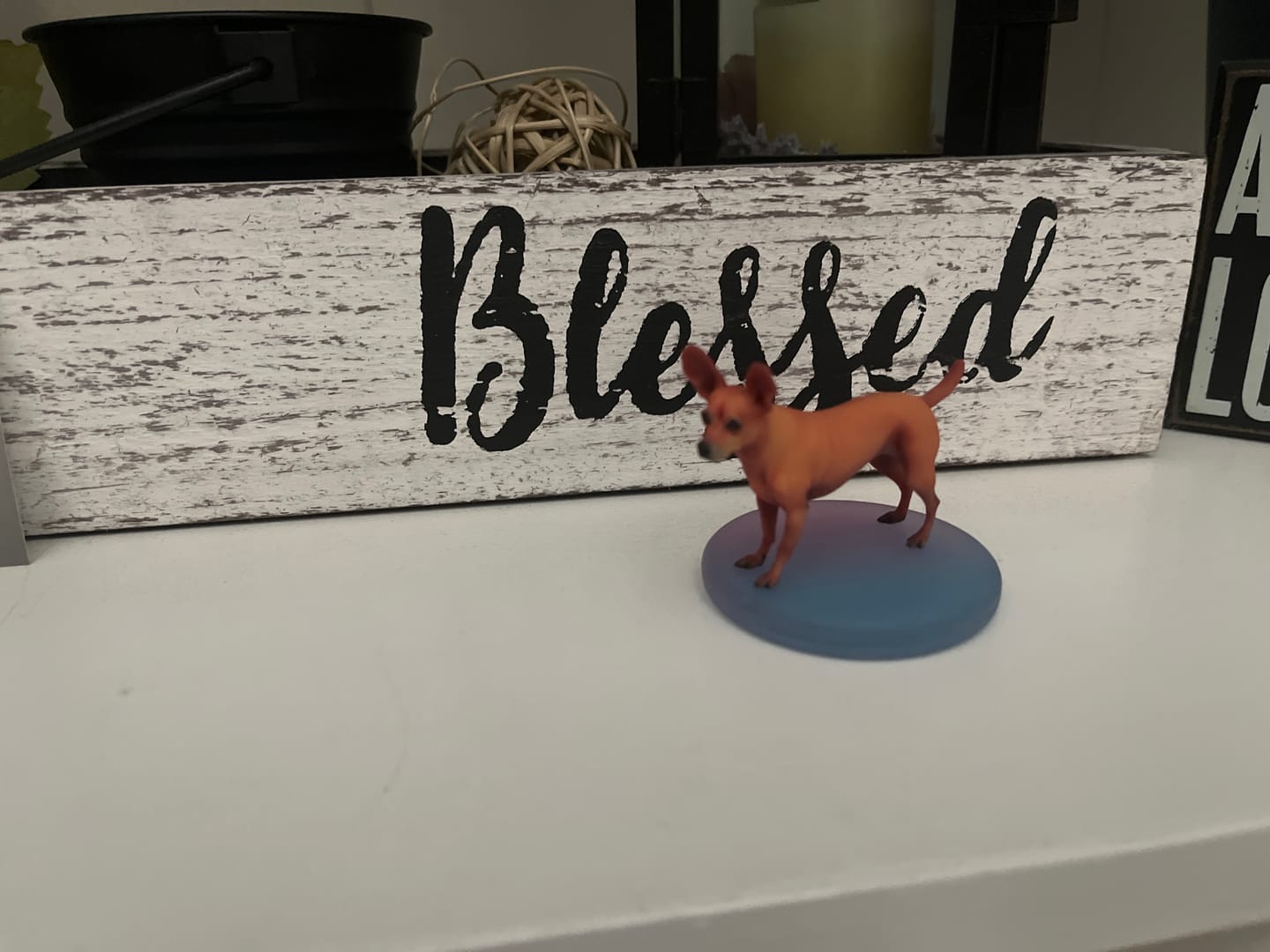 Customer photo review of Personalized Pet 3D Figurine from Photo