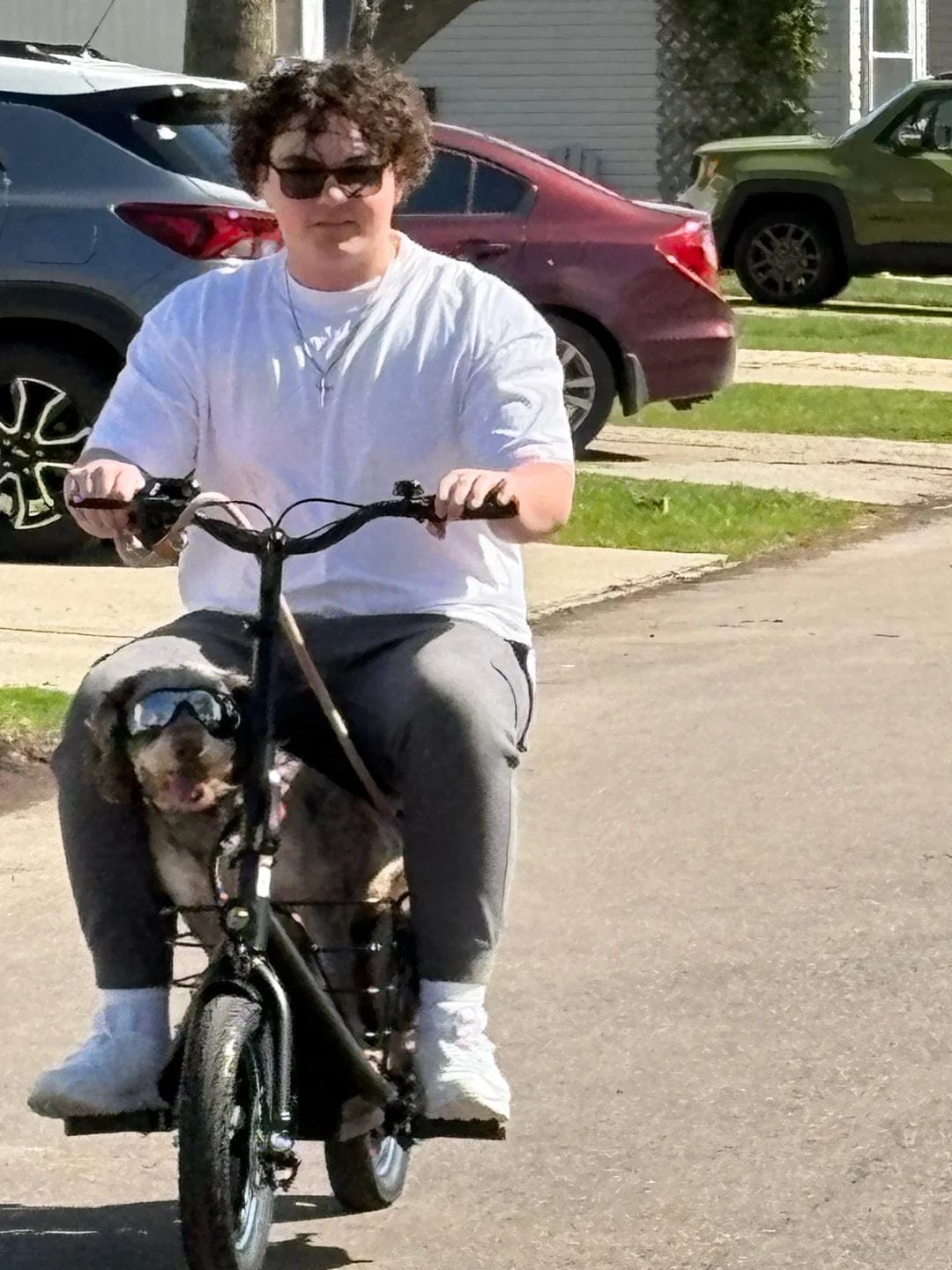 Customer photo review of GYROOR C1Plus E-Scooter – abnehmbaren Körben, großzügigem Stauraum für Haustiere & Transport – UL2272- und EEC-Zertifizierung