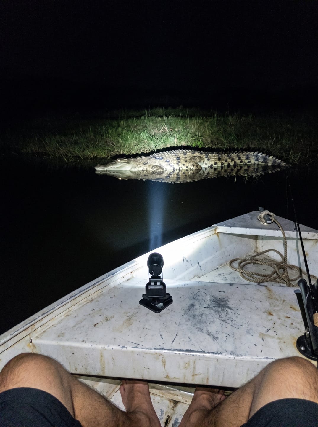Customer photo review of Pivotx PRO 1.0