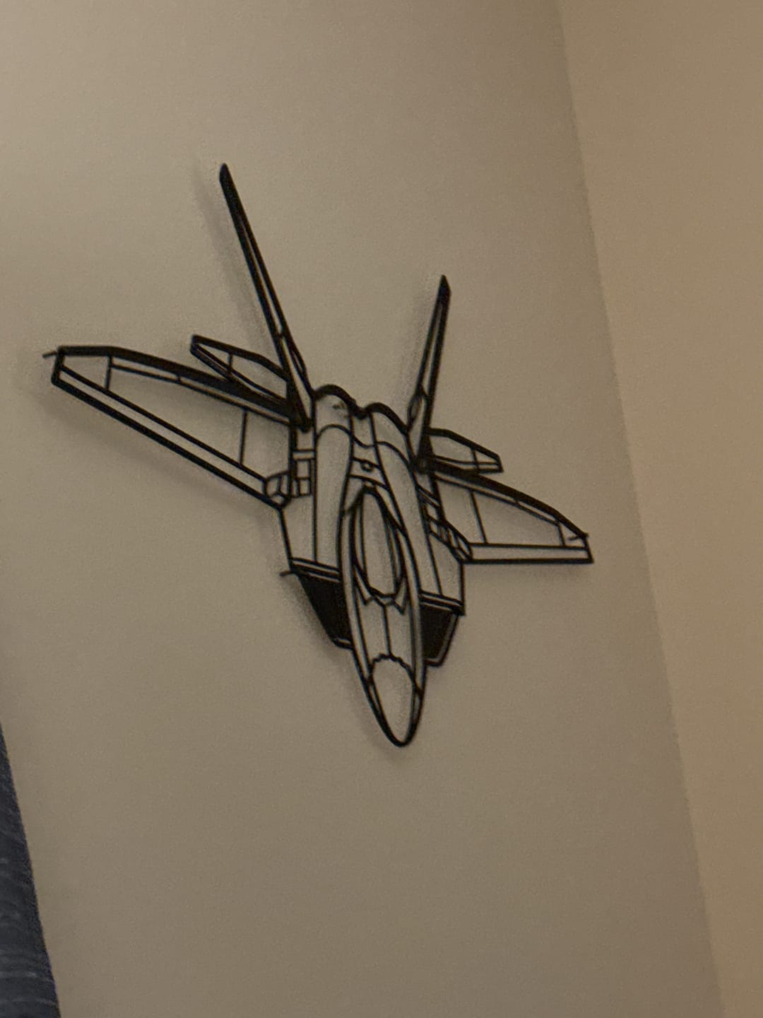 Customer photo review of F-22 Raptor Angle Silhouette Metal Wall Art