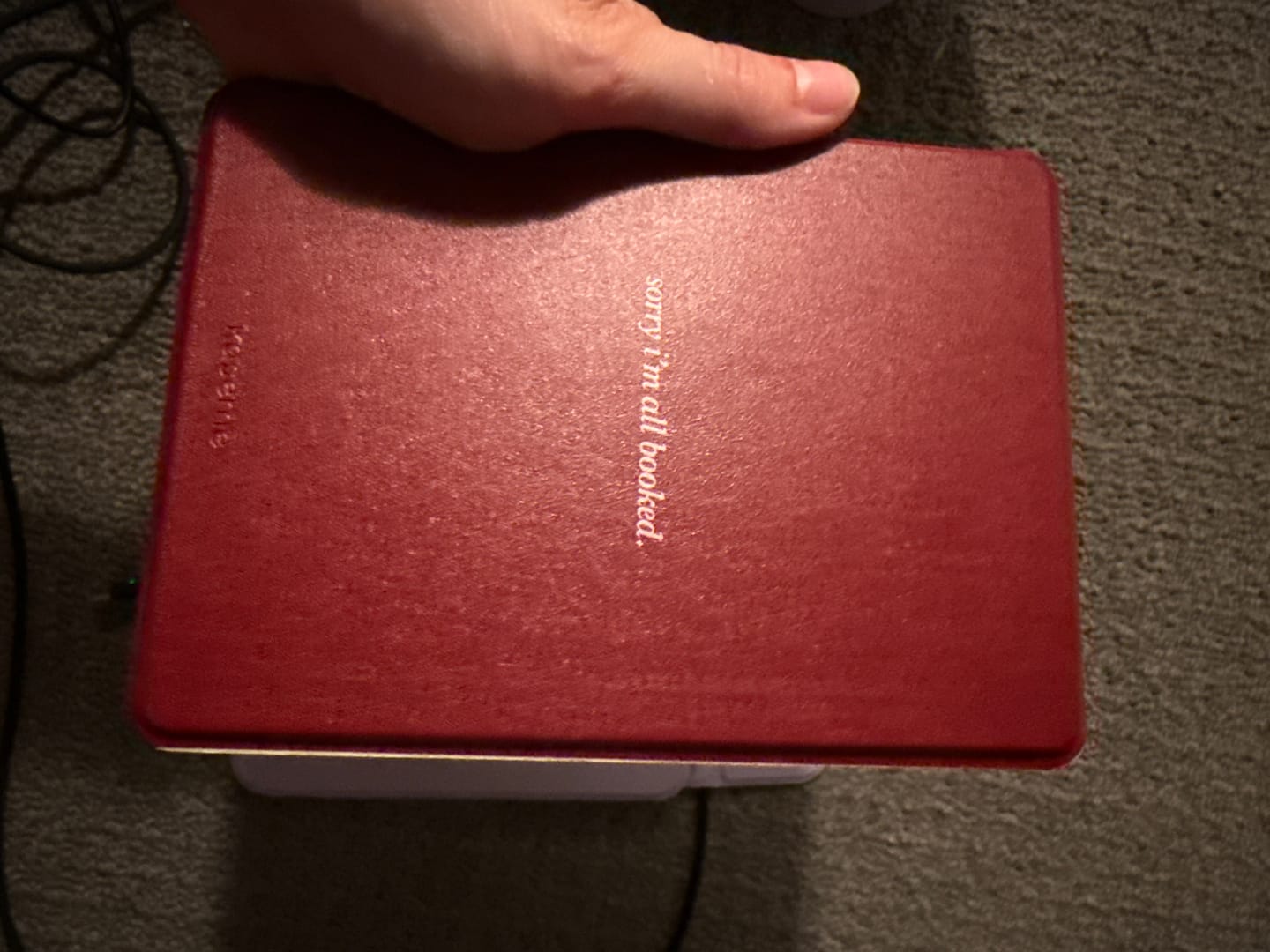 Customer photo review of Booked & Busy E-Reader Case