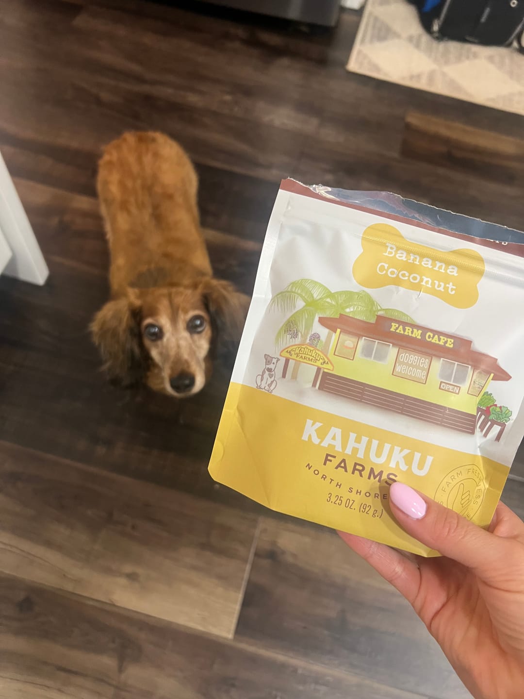 Customer photo review of Banana Coconut Doggie Treats