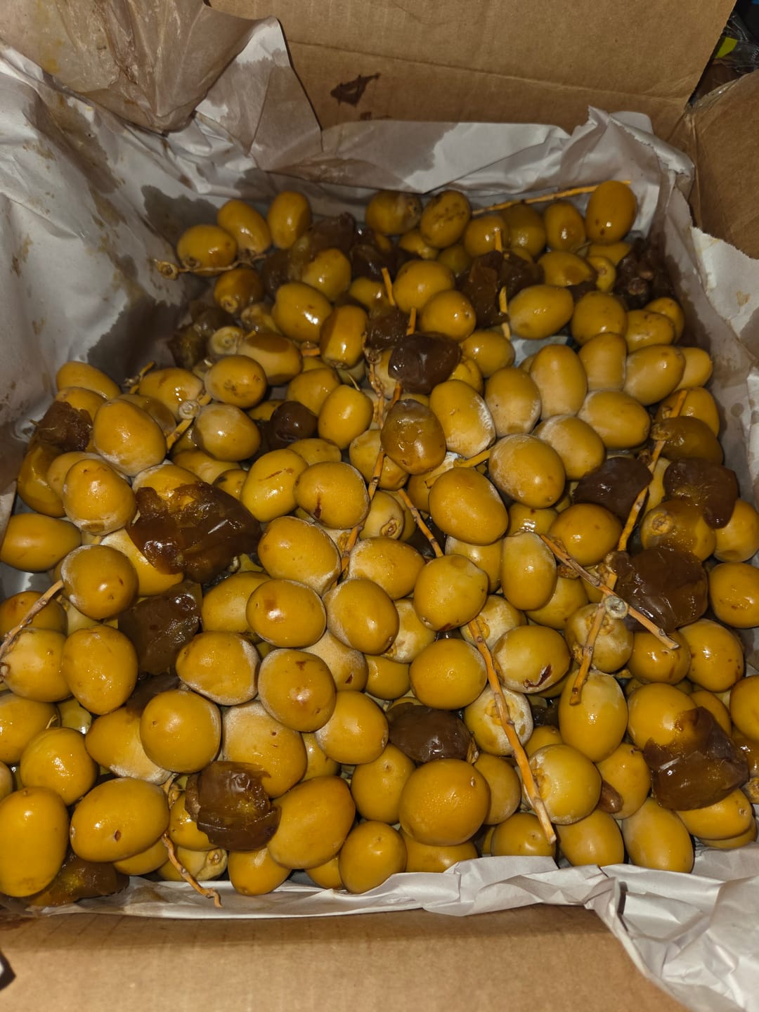 Customer photo review of Organic Yellow Barhi Dates (Khalal Barhi Dates)