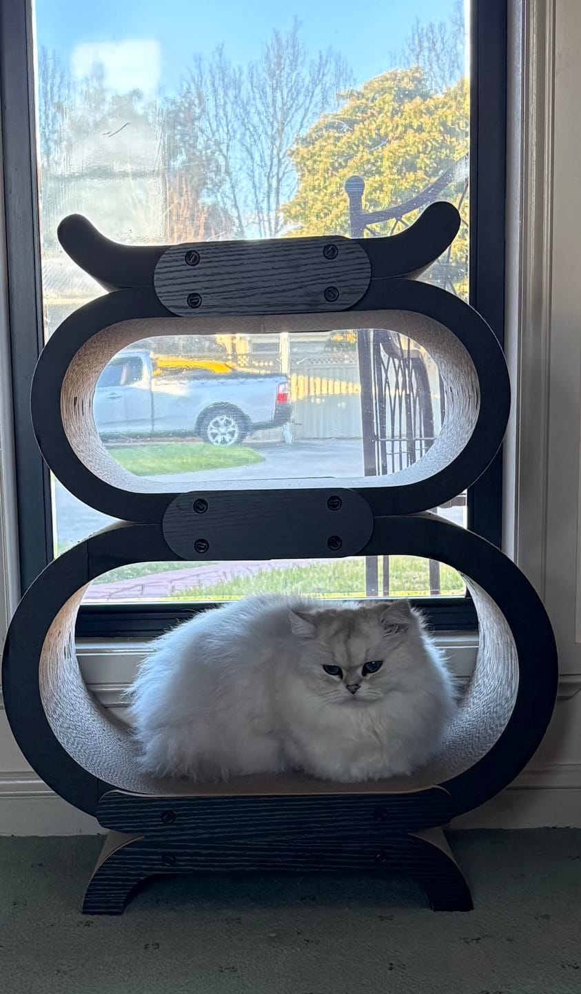 Customer photo review of Archway Stackable Cat Scratcher Lounge
