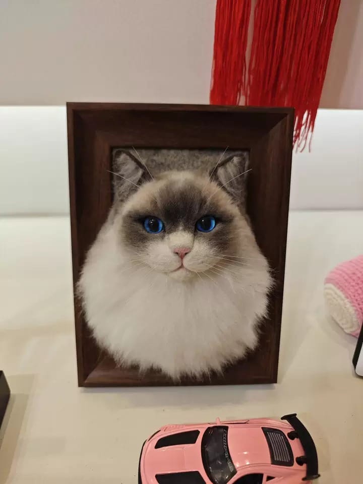 Customer photo review of Custom Pet Cloning Felt Portrait Frame
