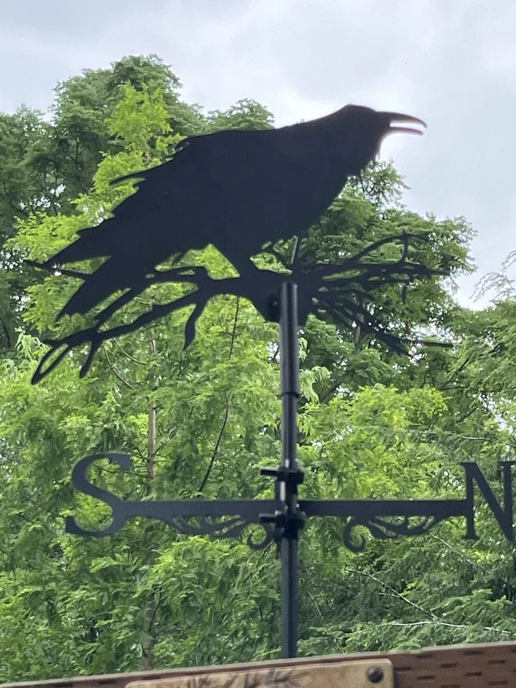 Customer photo review of Weather Vane - Raven on Branch