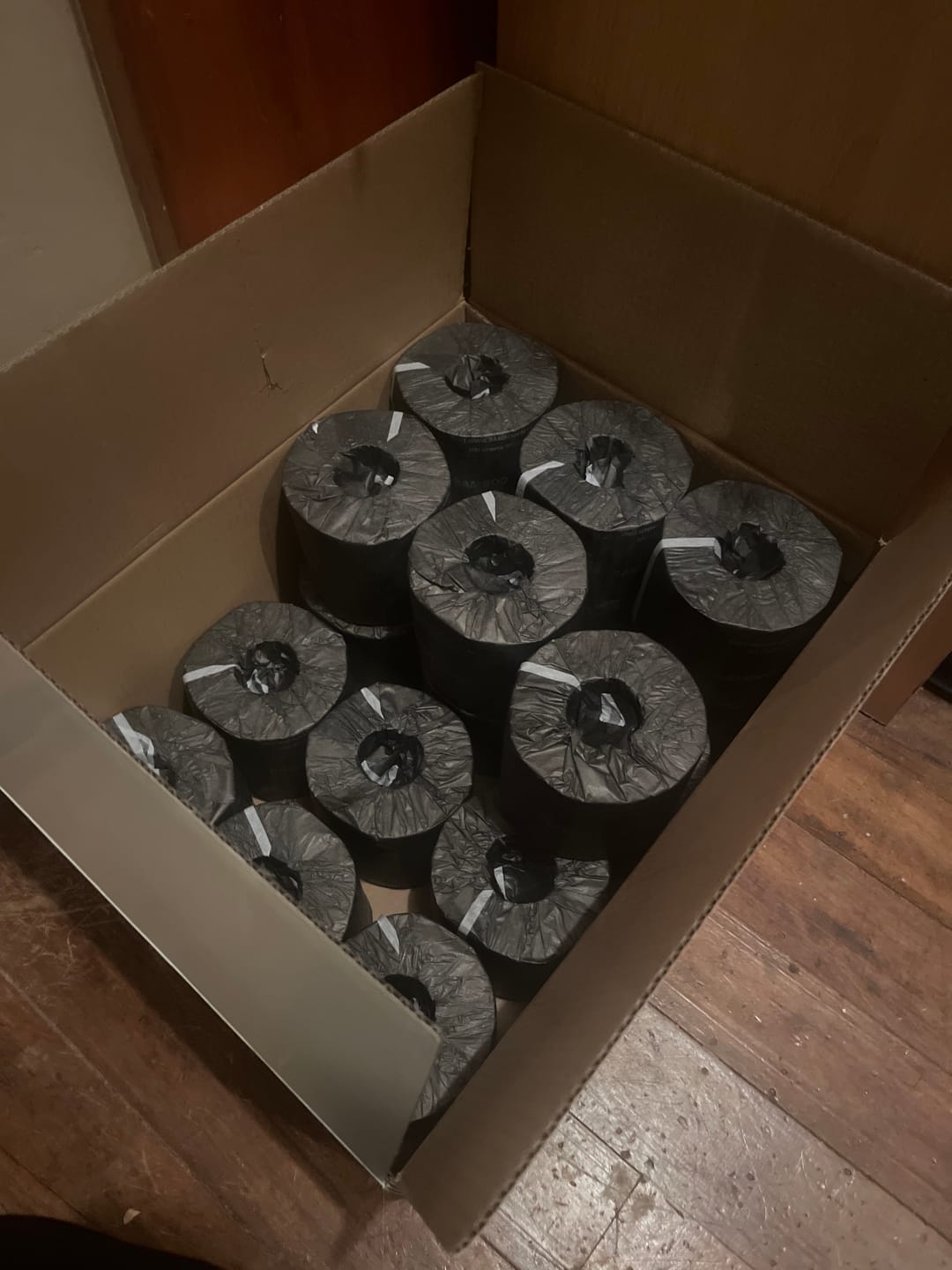 Customer photo review of Donate to Cleaning up the Ocean! 24 Pack