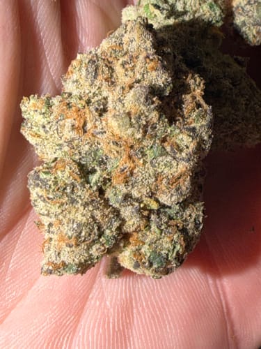 Elite Boutique Exotic Dark Matter - Bulk - Hybrid photo review