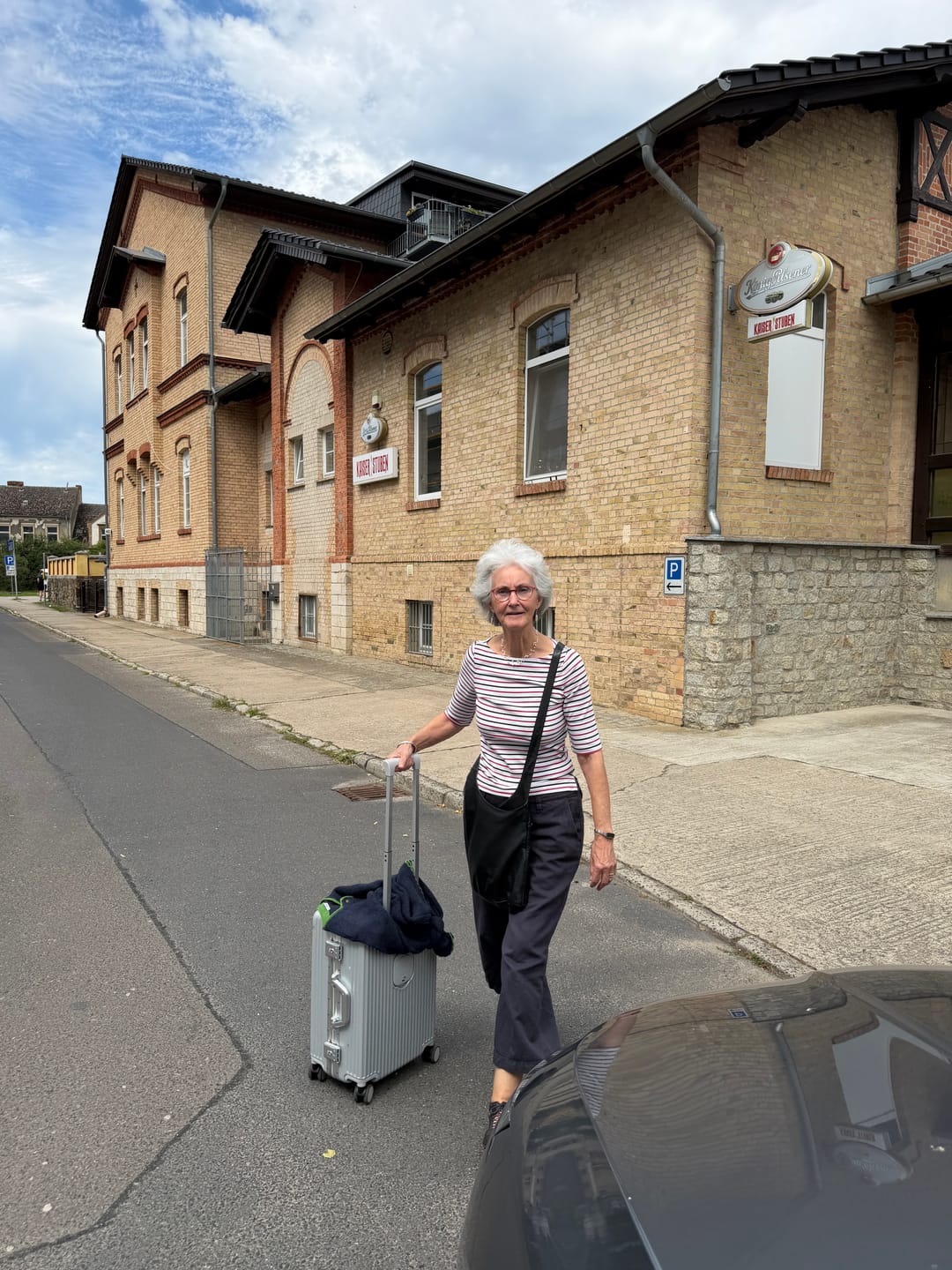 Customer photo review of Luggage Cover