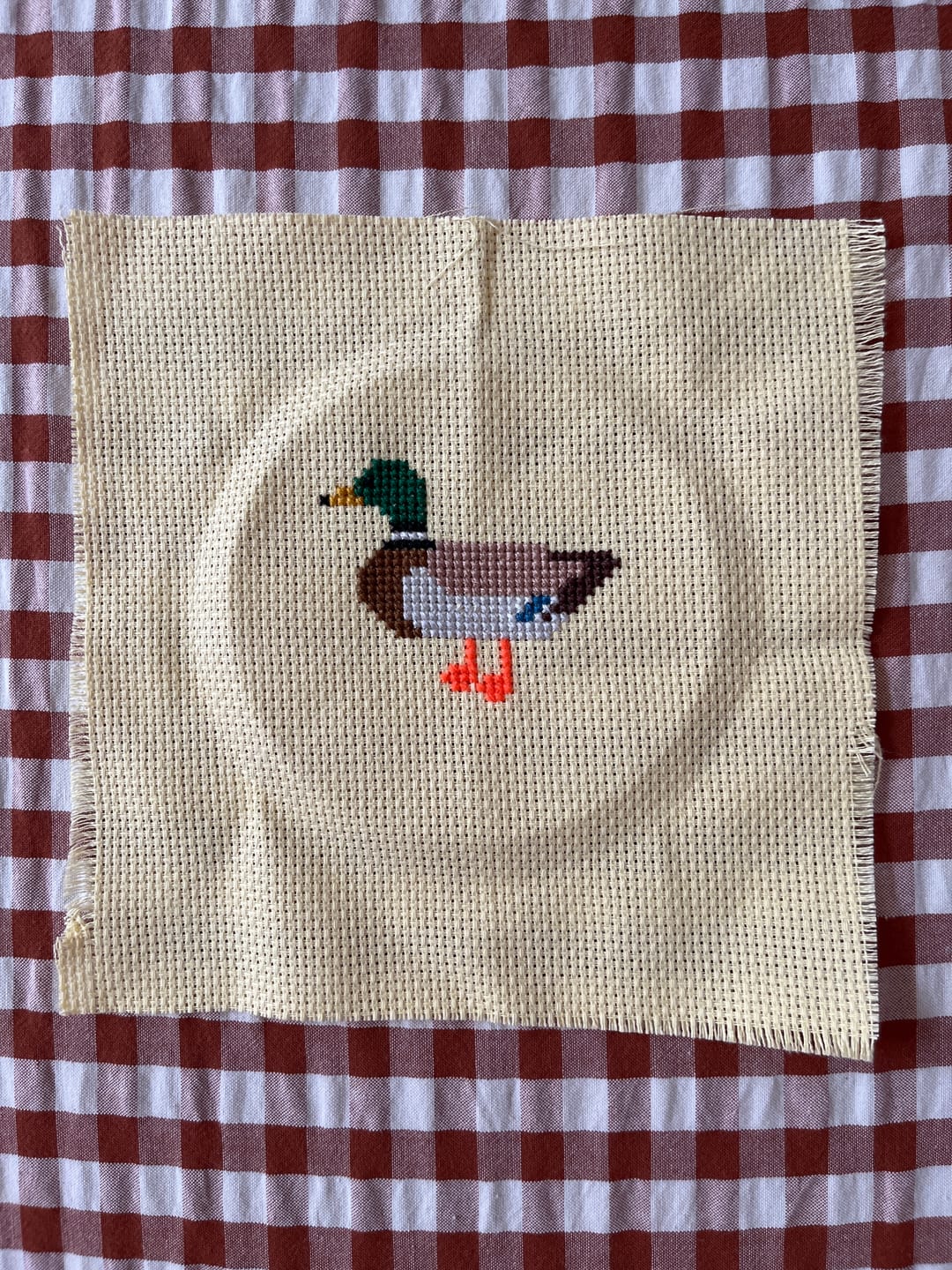 Customer photo review of Duck Cross Stitch Kit