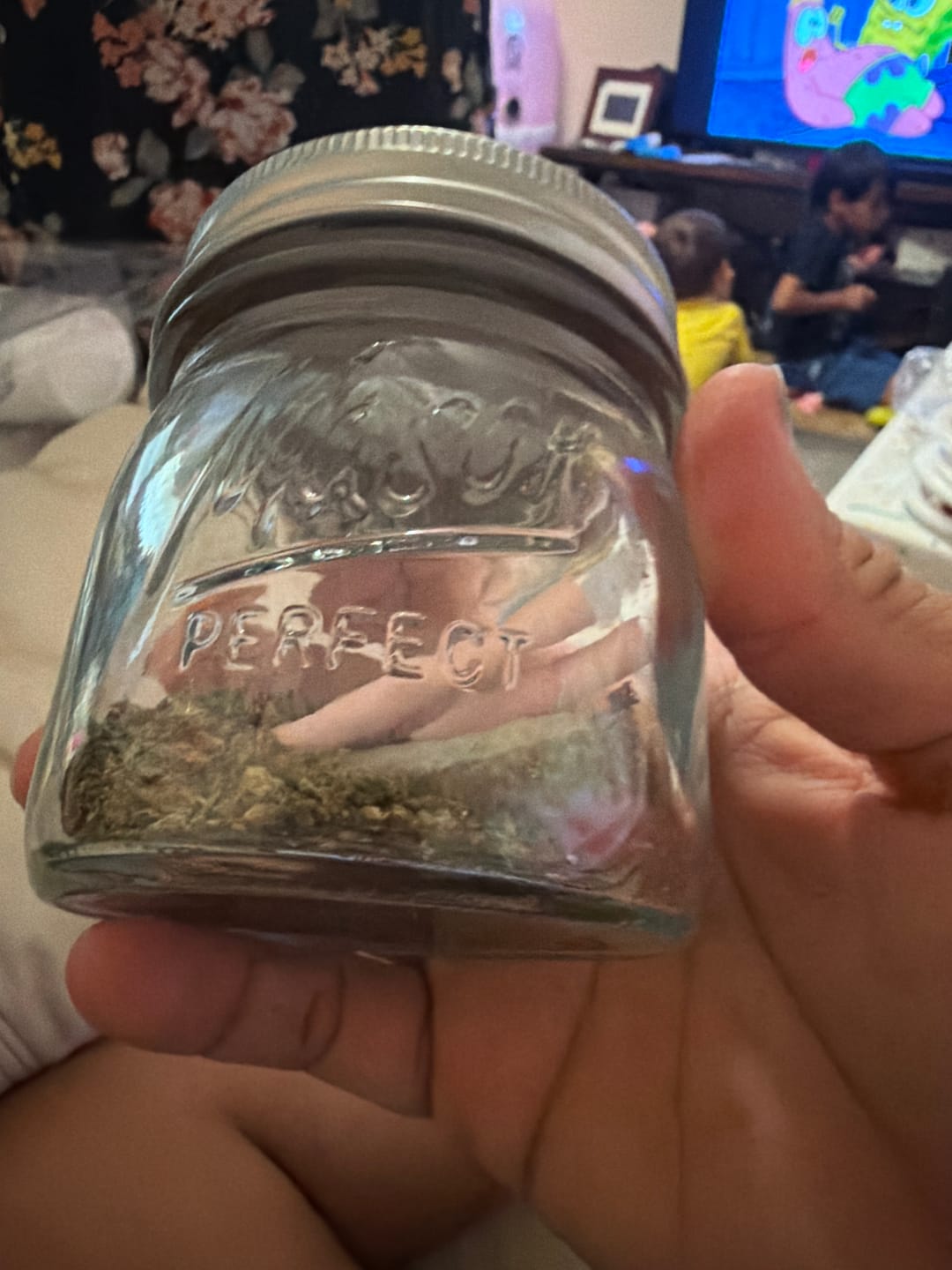 Customer photo review of Purple Kush - Minis - 28 Grams - Indica