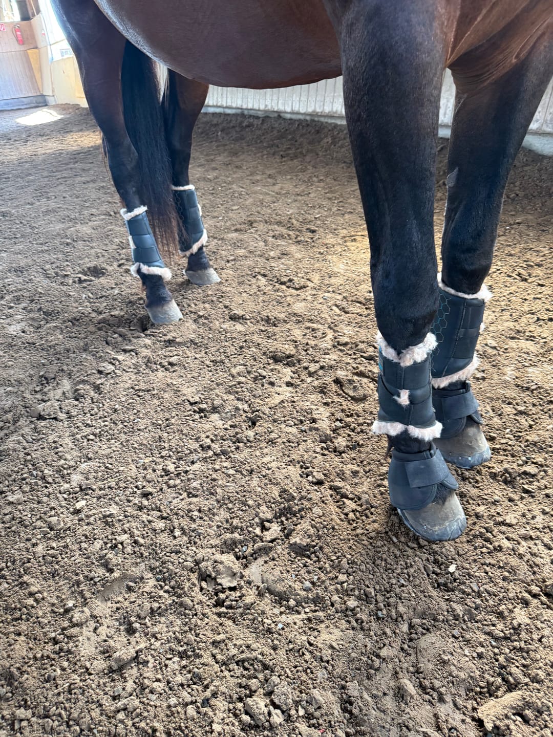 Customer photo review of TORPOL® Arbeitsgamaschen Magnetfeld