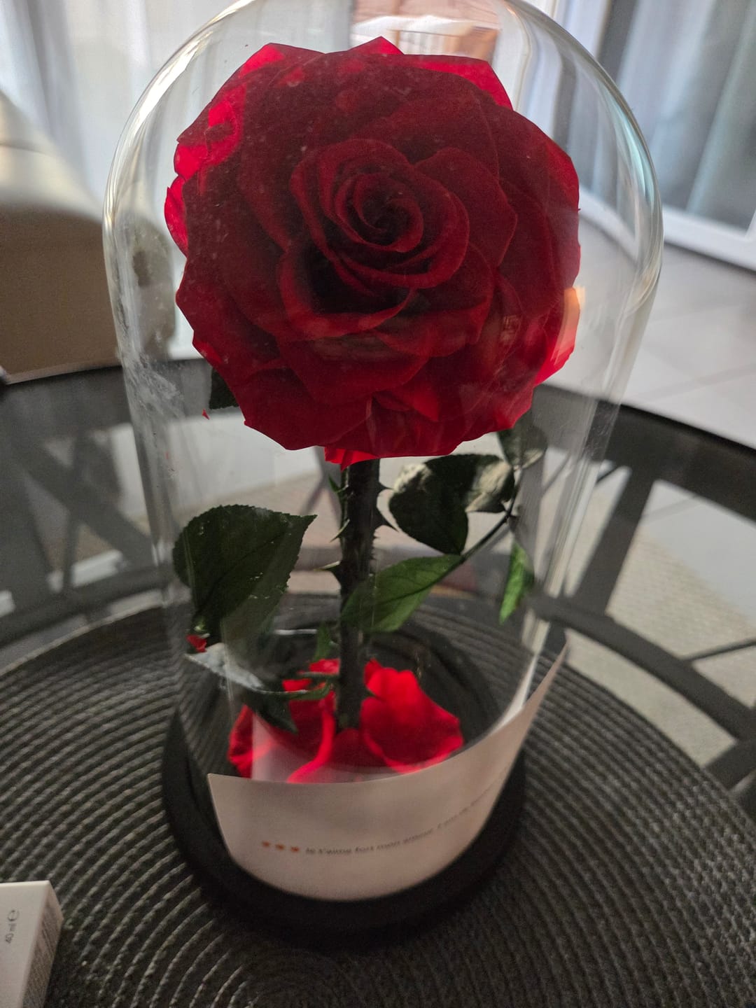 Customer photo review of Roses Éternelle Rouge sous Cloche XL plus boite Cadeaux