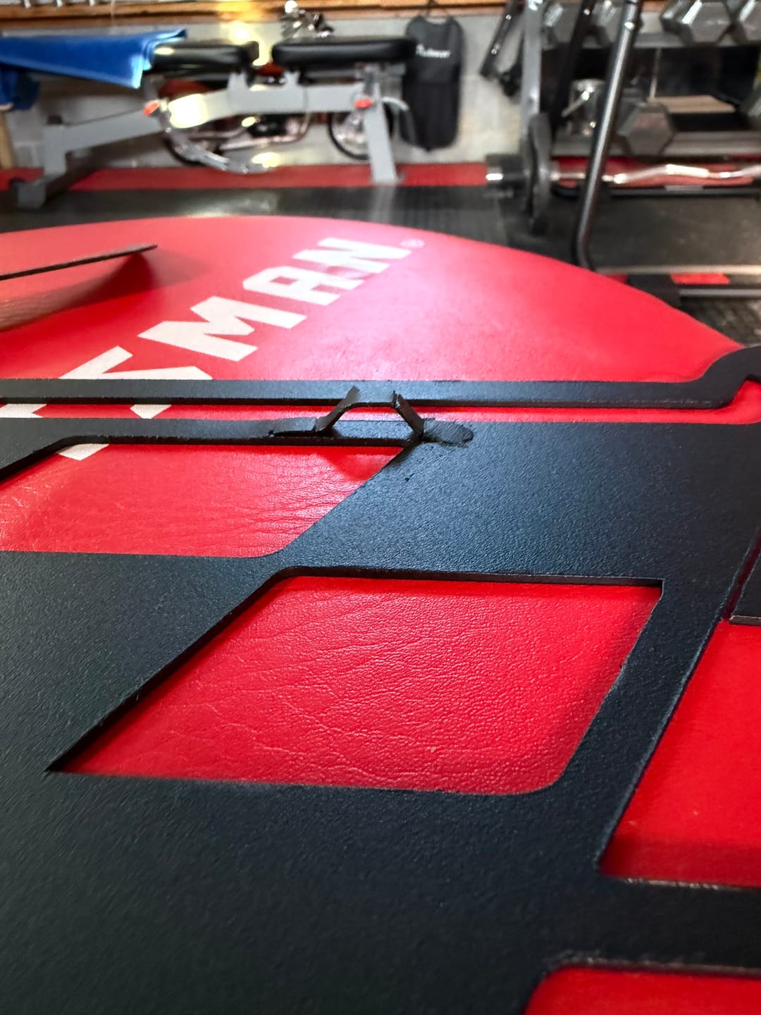 Customer photo review of Corvette Metal Car Emblem