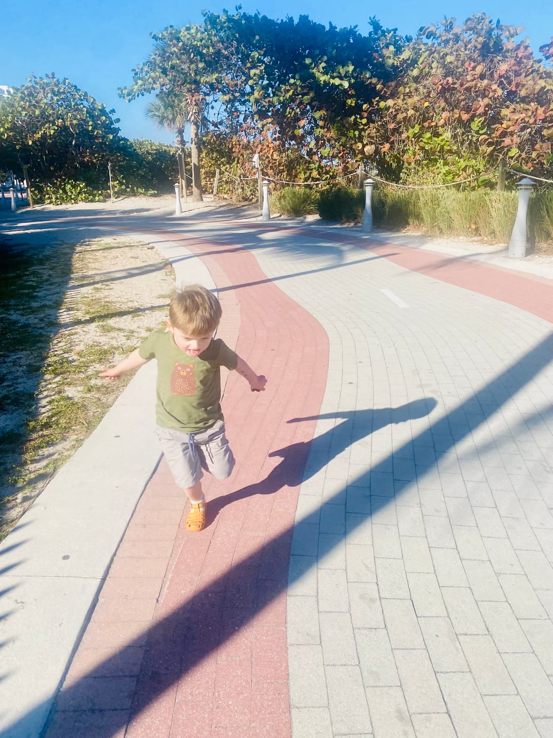 Customer photo review of Green Bear Short Sleeve T Shirt