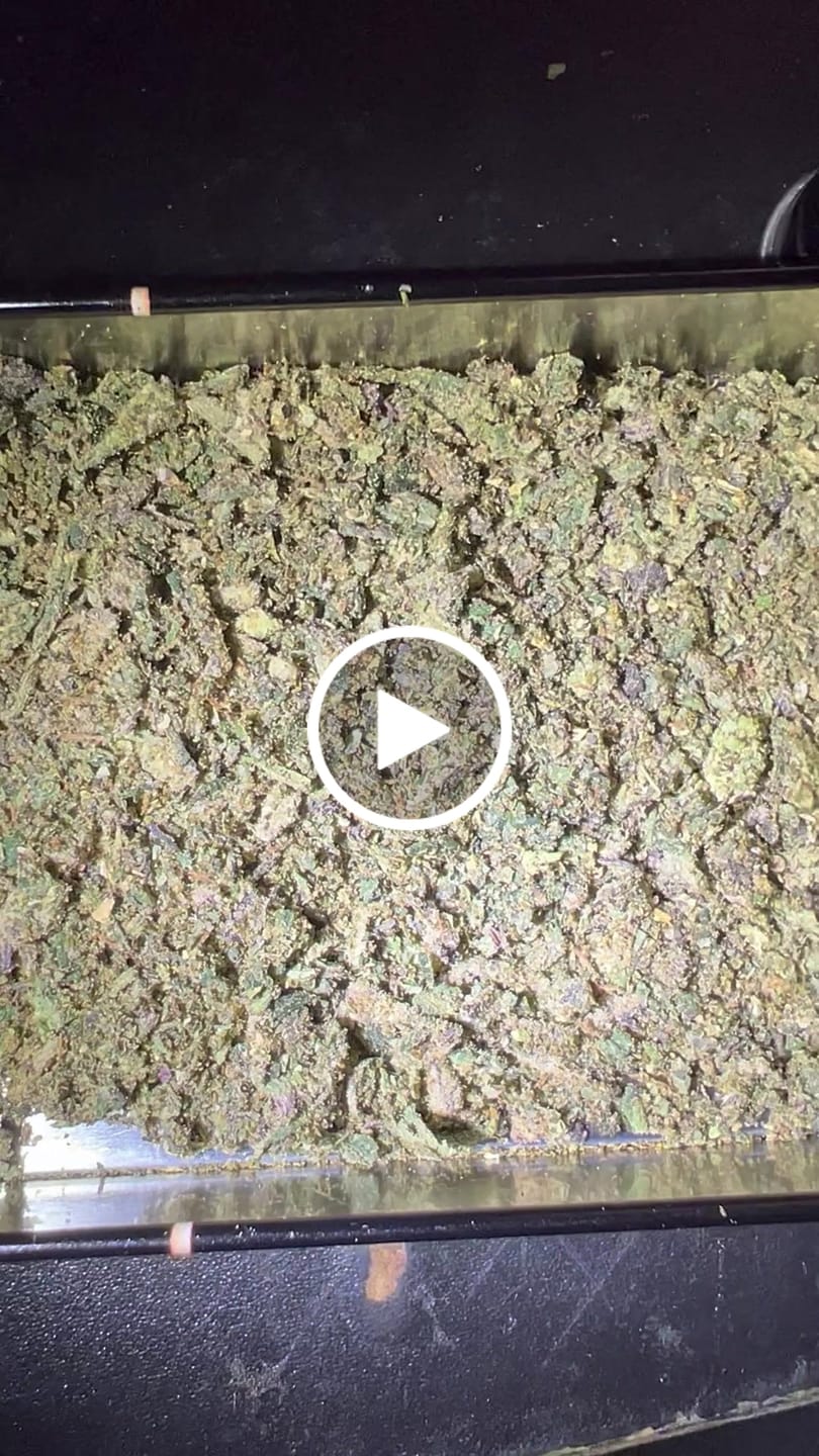 Customer video review of (BOGO Shake: buy 1oz get 2oz🍃) No6. Purple Cake THCa Shake