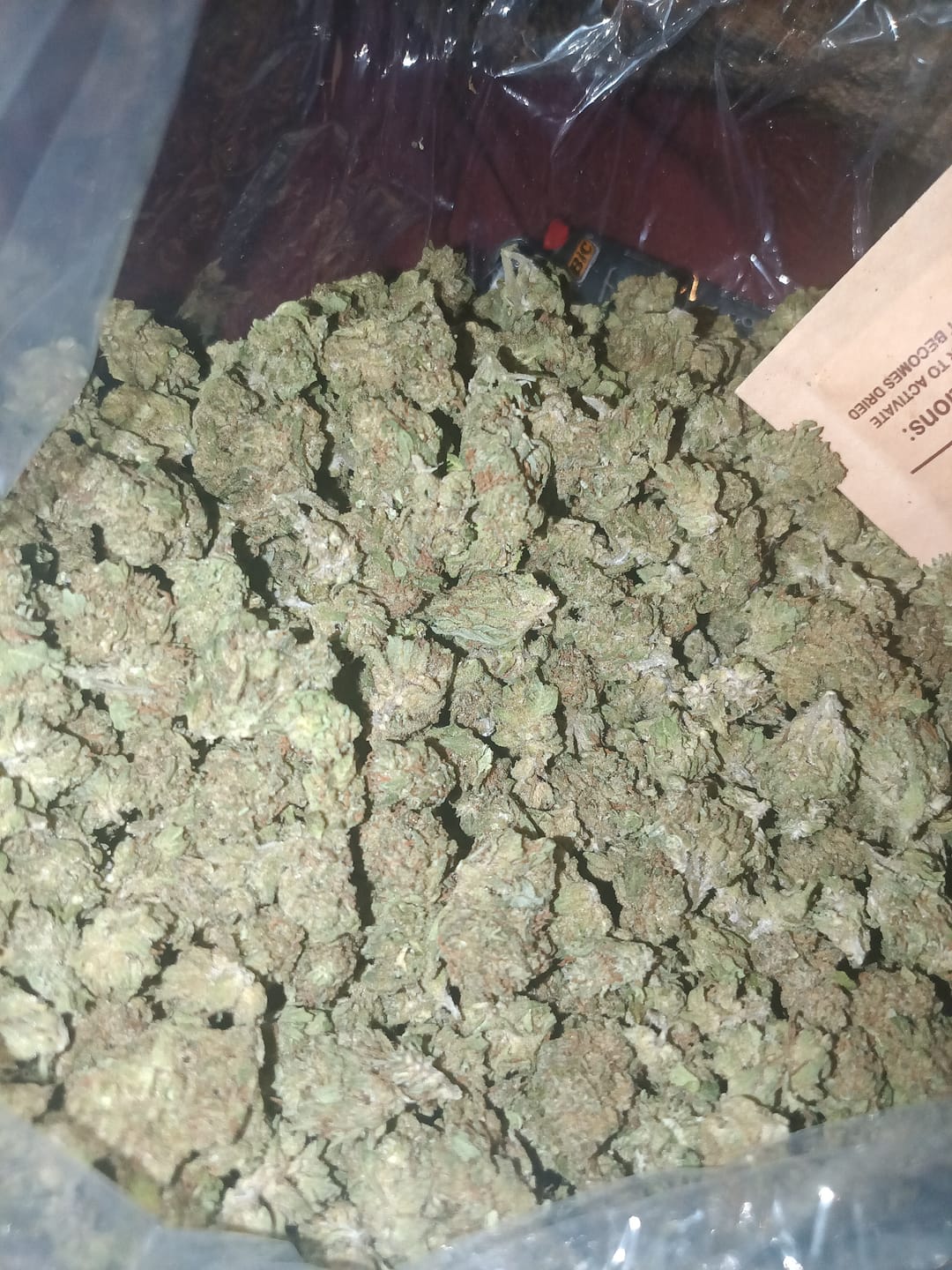 Customer photo review of Caramel Apple Minis - Bulk Minis - Hybrid