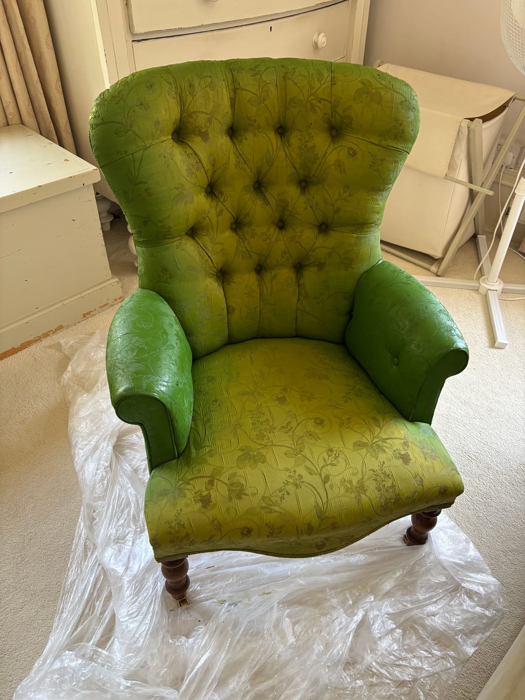 Customer photo review of Fabric Paint -- Olive