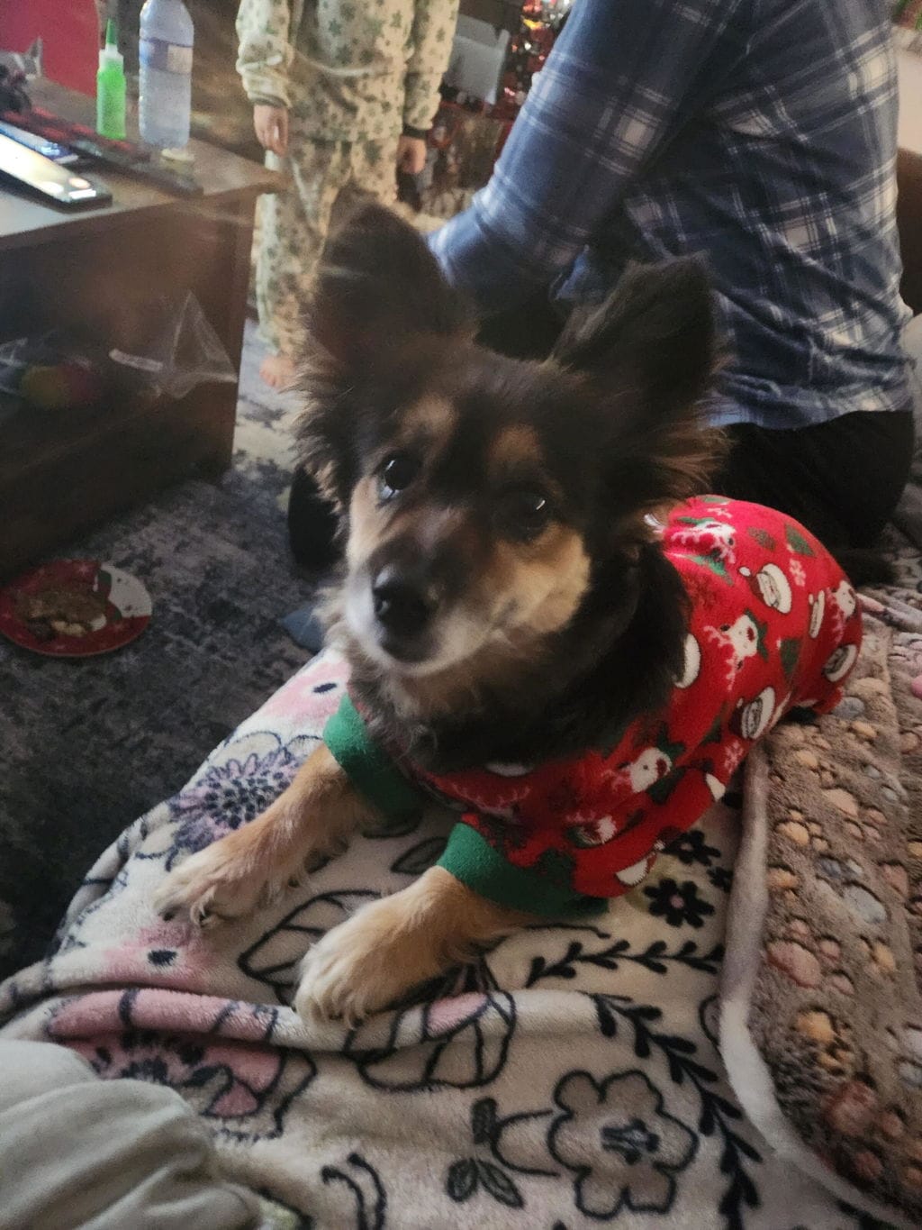 Customer photo review of PearlyPup™ Anti-Tartar Dental Spray for Dogs