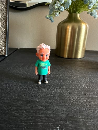 Customer's Personalized Pet 3D Figurine in a chibi style, featuring a person in a green shirt on a shelf.