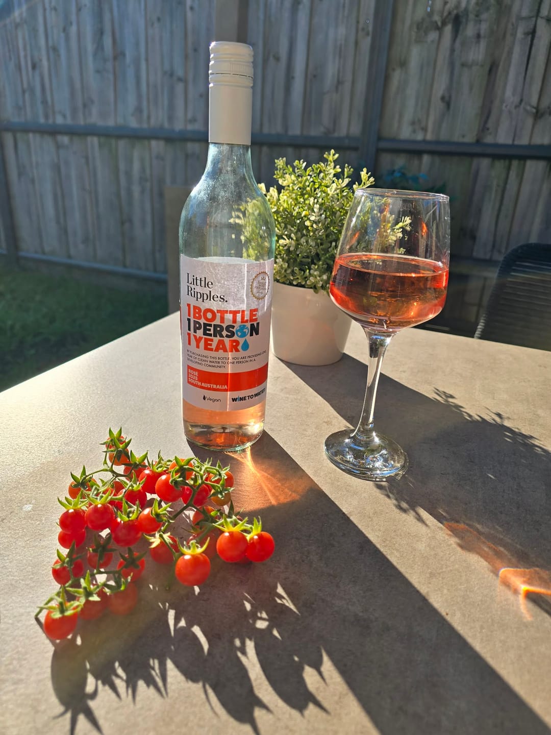 Customer photo review of Rosé - 6pk