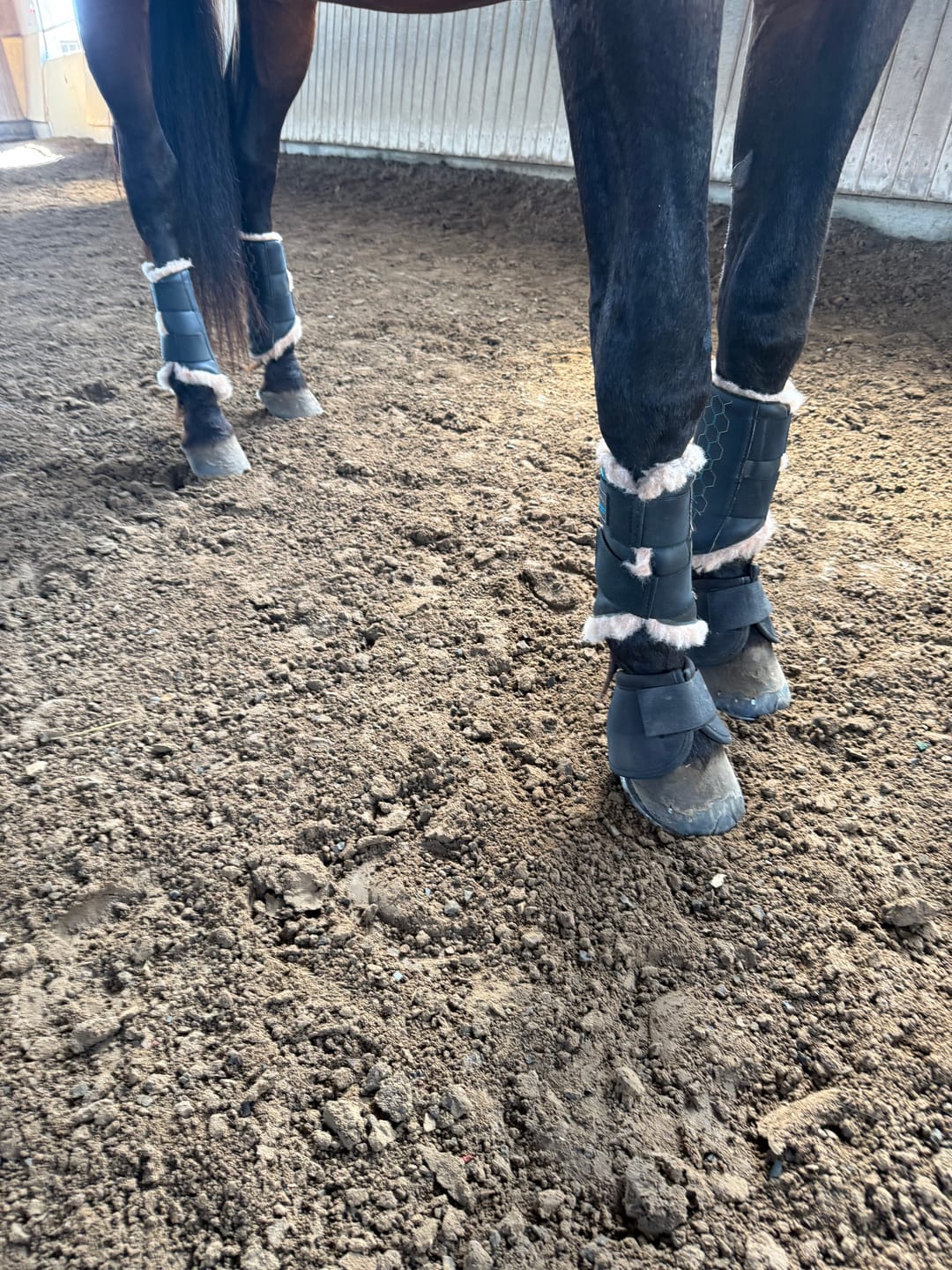 Customer photo review of TORPOL® Arbeitsgamaschen Magnetfeld