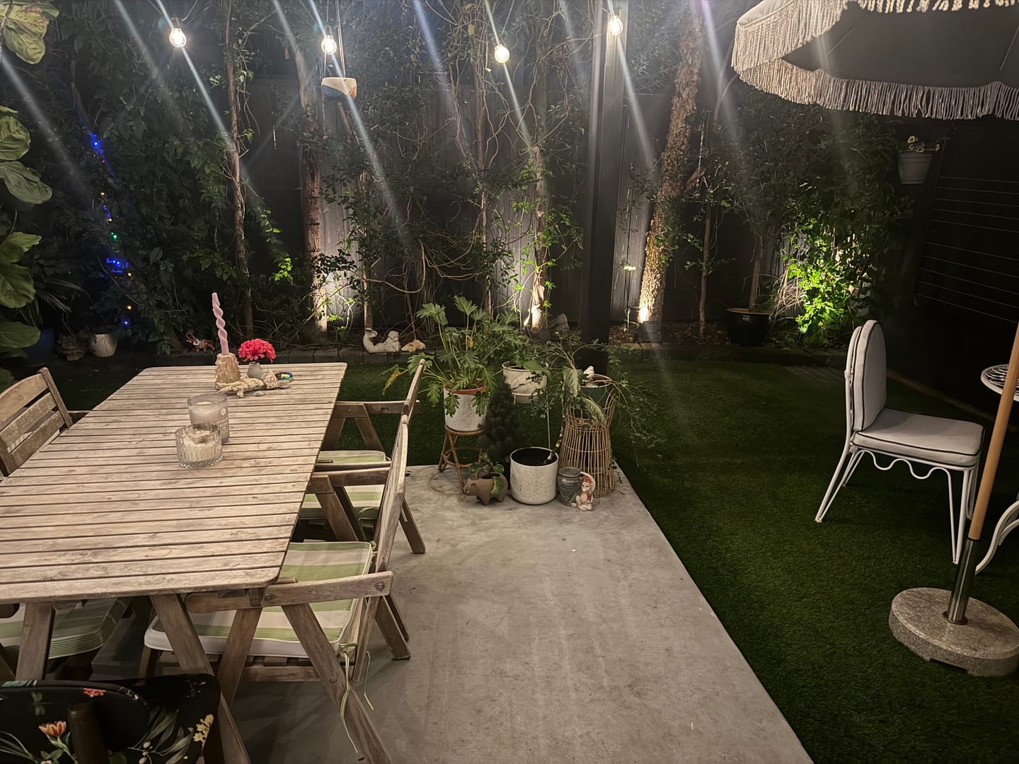 Customer photo review of GardenBrite™ Solar Spotlight Pack