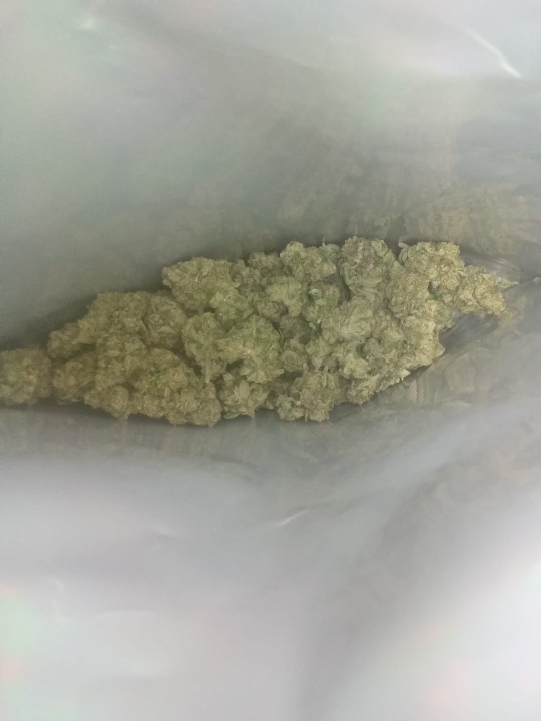 Customer photo review of Private Reserve OG - Bulk - Indica