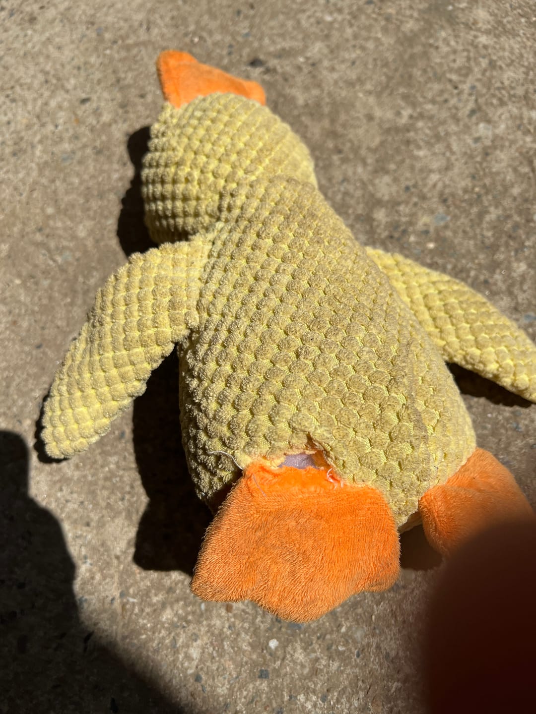 Customer photo review of PLÜSCHENTE HUNDESPIELZEUG – Bissfest, Langlebig, Stressabbau