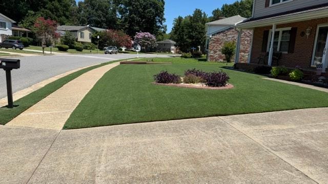 Customer photo review of CarbonizPN® Soil Enhancer
